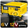 Prostownik mikroprocesorowy akumulatorowy 6/12V PM-PM-40B - 10